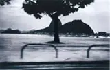 Tuca Reinés, Rio