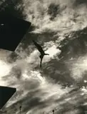 Dive Form the 10 meters - Tower, Berling Olympics by Leni Riefenstahl, 1936, Foto pb em gelatina e prata sobre papel, offered Sep 2020