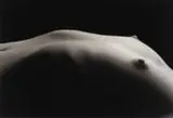 Kenro Izu, Still Life #493, 1994, Foto pb (platinum paladium) sobre papel