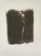 Ricardo Junqueira, S/ Título - Série Herbarium
