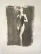 Ricardo Junqueira, S/ Título - Série Herbarium