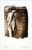Ricardo Junqueira, S/Título - série herbarium