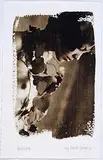 Ricardo Junqueira, S/ Título - Série Herbarium