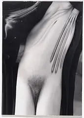 Distortion #72 by André Kertész, Foto pb sobre papel, offered Sep 2020