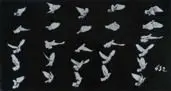 Étienne-Jules Marey, Pigeon Dans les Attitudes D‘im Coup D‘aile, Foto (glass plate positive)
