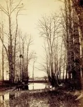 Femme en Bord D‘etang et Boule de Gui by Charles Famin, 1809, Foto pb sobre papel, offered Sep 2020
