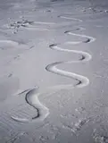 Andy Goldsworthy, Waiting for fhe Wind