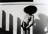 Antonio Guerreiro, Chapéu E Sombras 2