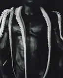 Torso con Polipo [Seychelles] by Gian Paolo Barbieri, 1988, Foto pb sobre papel, offered Sep 2020