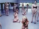 Vanessa Beecroft, "VB35"