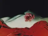 Erwin Blumenfeld, Nude With Camelia, N.Y., 1950, Foto cor (tye print) sobre papel