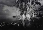 Lake Istokpoga #4 by Clyde Butcher, 1989, Foto pb sobre papel, offered Sep 2020