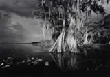 Clyde Butcher, Lake Istokpoga #4