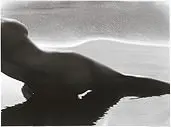 Nu by Lucien Clergue, 1970, Foto pb sobre papel, offered Sep 2020