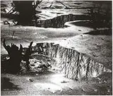 Lucien Clergue, Paisagem - Suit Etang