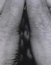 John Coplans, Interlocking Fingers N.22 - Self Portrait 8, 2000, Foto pb em gelatina e prata sobre papel