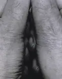 John Coplans, Interlocking Fingers N.22 - Self Portrait 8, 2000, Foto pb em gelatina e prata sobre papel
