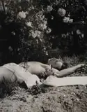 Narcisse by Laure Albin Guillot, 1934, Fotografia pb em gelatina e prata sobre papel, offered Sep 2020