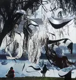 Odires Mlàszho, Parque Ibirapuera, 2004, fotografia