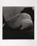 Mário Cravo Neto, Ícaro After Fall