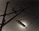 Fiação Elétrica by Thomaz Farkas, fotografia, offered Sep 2020