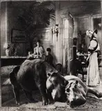 Athos Bulcão, Du Côté des Germantes