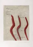 Dança Nô- Álbum Yú-Gen by Tomie Ohtake & Haroldo De Campos, 1998, água-tinta e serigrafia, offered Sep 2020