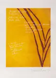 Templo de Ouro - Álbum Yú-Gen by Tomie Ohtake & Haroldo De Campos, 1998, água-tinta e serigrafia cor, offered Sep 2020