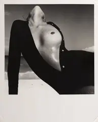 Sem Título by Richard Avedon, fotografia, offered Sep 2020