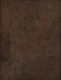 Mira Schendel, Sem Título