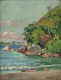 Aldo Bonadei, Marinha