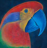 Claudio Tozzi, Papagalia, 1981, óleo sobre placa