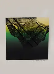 Sem Título by Anna Bella Geiger, 1974, serigrafia, offered Jul 2020