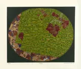 Kazuo Wakabayashi, Folhas