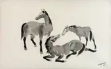 Yoshiya Takaoka, Cavalos