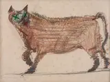 Clóvis Graciano, Gato