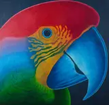 Claudio Tozzi, Papagaio