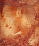 Carlos Araujo, Figura