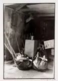 Regina Vater, There Here, 1986, fotografia