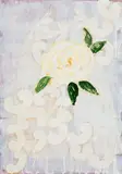 Beatriz Milhazes, Rosa Branca