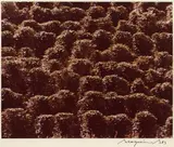 Paisagem by Araquém Alcântara, 1983, fotografia, offered Mar 2020