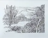 Roberto Burle Marx, Restinga