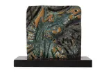 Hugo Rodrigues, Cabeça de Cavalo, escultura em bronze