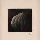 Yōzō Hamaguchi, Fruto Sem Cor, gravura em metal sobre papel