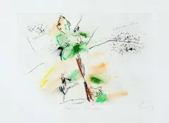 Primavera by Wesley Duke Lee, gravura em metal sobre papel, offered Oct 2019