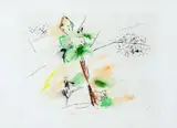 Wesley Duke Lee, Primavera, gravura em metal sobre papel