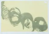 Tomie Ohtake, Sem Titulo, 1989, gravura em metal sobre papel