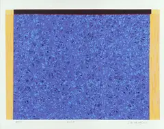 Sem Título by Cildo Meireles, 2010, serigrafia sobre papel, offered Aug 2019