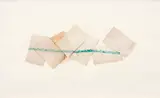 Ernesto Neto, Elefantes