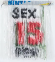 Jarbas Lopes, Sex Date, 2014, rafia e pintura